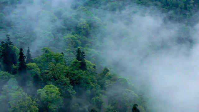 整条街的独特风景：黑底白字招牌